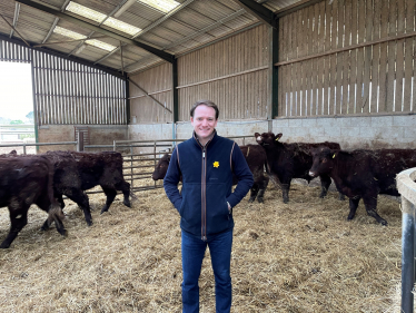 Gareth Davies MP at local cattle farm